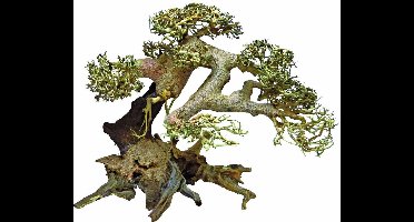 SuperFish Bonsai Driftwood Large