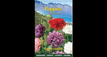 Buzzy® Poppies of the world - Papaver Pioenbloemig