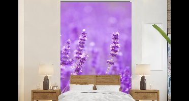 Behang - Fotobehang Lavendel - Close-up - Bloemen - Paars - Breedte 145 cm x hoogte 220 cm