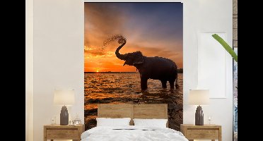 Behang - Fotobehang Olifant - Zee - Dieren - Zonsondergang - Oranje - Breedte 145 cm x hoogte 220 cm