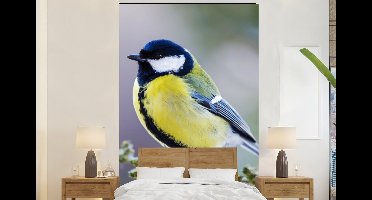 Behang - Fotobehang Koolmees - Vogel - Tak - Breedte 145 cm x hoogte 220 cm