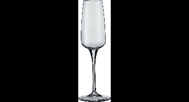 Bormioli Aurum Champagneglas - 23cl - Set-6