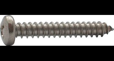 Elcee Plaatschroef cilinderkop phillips RVS A2 4.2 x 60mm