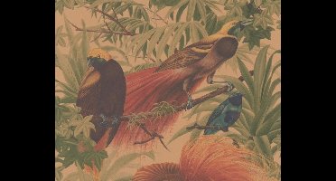 Paradijsvogel behang jungle 6954-37