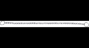 Flamingo Bo - Anti-trek Halsband Honden - Anti-trek Halsband Bo Middel L 55cm 2,5mm - 1st - 126438 - 1st
