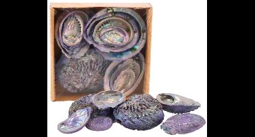Decoratie Abelone schelpen - Mix - ca. 5 tot 11 cm.- 500 gram - Paars