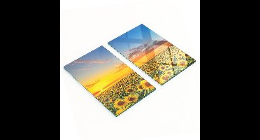 Multifunctionele decoratieve glazen borden Zonnebloemveld 2x30x52 cm
