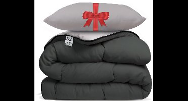 Avenue – Dekbed zonder overtrek 200x200 cm Antraciet/Taupe + Hoofdkussen 60x70 cm Taupe – Hoesloos – Anti-allergisch & wasbaar op 60°C – All Year comfort slaapbundel