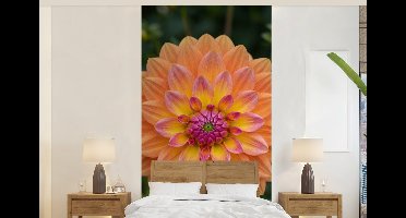 Behang - Fotobehang Dahlia - Bloem - Oranje - Breedte 120 cm x hoogte 240 cm