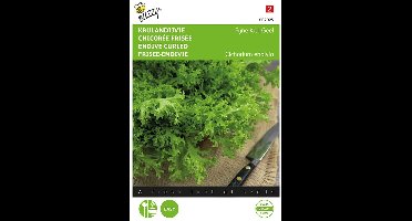 Buzzy® Krulandijvie Fijne Krul Geel/Altijd Witte