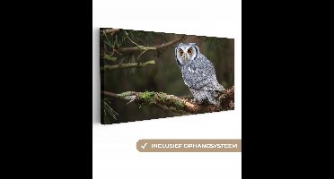 OneMillionCanvasses - Canvas schilderij - Uil - Vogel - Takken - Mos - Canvas doek - Schilderijen woonkamer - 300x140 cm - Wanddecoratie