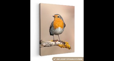 OneMillionCanvasses - Canvas - Schilderij - Roodborstje - Vogel - Takken - Dier - Foto op canvas - Slaapkamer - 60x80 cm - Canvas doek