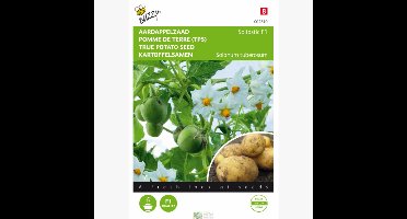 Aardappelzaad Soltastic F1- Solanum tuberosum - Moestuin - bloeit in Augustus / September