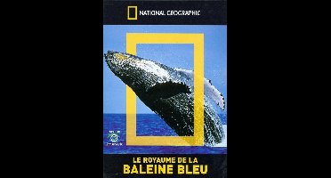Baleines Bleue