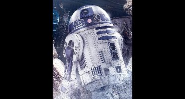 Star Wars The Last Jedi R2-D2 Droid Poster 40x50cm
