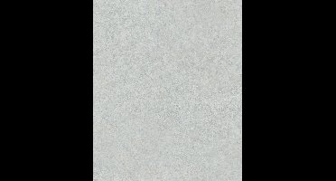 Couleurs uni grijs effen (vliesbehang, grijs)