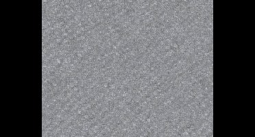 KALK BEHANG | Landelijk - grijs - A.S. Création Elegance 3