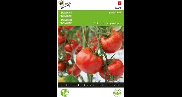 Buzzy - Tomatenpakket - Extra zaden - 11 soorten - Moestuin - Hoge kiemkracht