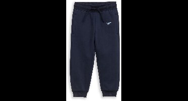 Tom Tailor - Joggingbroek met dinosaurusborduursel - Maat 92 - sky captain blue