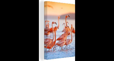 OneMillioncanvasses - Canvas - Schilderij vogels - Flamingo - Zonsondergang - Vogel - Tropisch - Foto op canvas - 80x120 cm - Schilderijen op canvas - Wanddecoratie