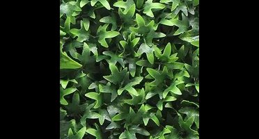 Kunstplanten mat 50x50 cm hedera Buitengewoon de Boet