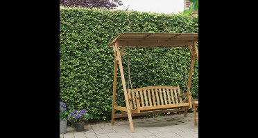 12 x Ierse Klimop - Klimplant en Bodembedekker Wintergroen - Hedera helix 'Hibernica' gestokt hoogte 60-80cm