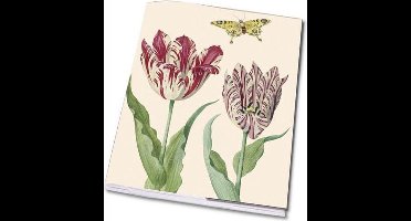 Schrift A5: Tulpen/Tulips, Jacob Marrel, Collection Rijksmuseum Amsterdam