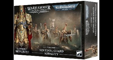 Adeptus Custodes Sentinel Guard Sodality