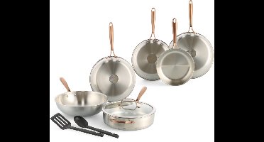 BK Rose Pannenset 8-delig - Koekenpannen 20/24/28cm - Hapjespan met glazen deksel 28cm - Wokpan 28cm - Zonder antikleeflaag - Pannenset inductie - RVS pannenset - Ovenbestendig tot 200°C - Met spatelset Zilver