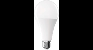 EMOS LED-lamp Classic A80 / E27 / 20 W (150 W) / 2452 lm / neutraal wit, ZQ5E83