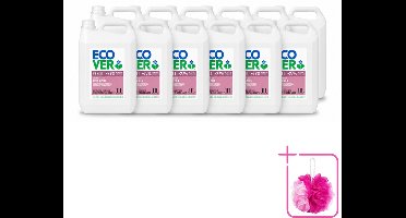 12 x Ecover - Vloeibaar wasmiddel - Wol & Fijnwas - Waterlelie & Honingmeloen - 5 liter - 111 wasbeurten - Bulkverpakking - Fijnwas - Douchemop - Wolwas