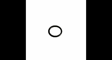 DVGW-schroeffitting met O-ring 20 mm