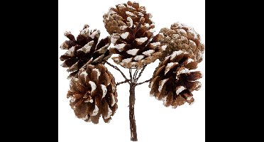 Boekje met witte kerstdennenappels, 12 cm