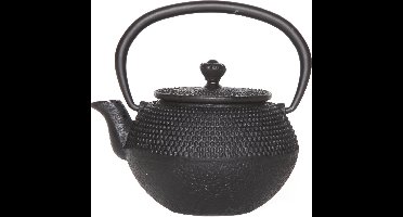 Cosy & Trendy Takara Black Theepot Met Filter - Gietijzer - 0.35 L