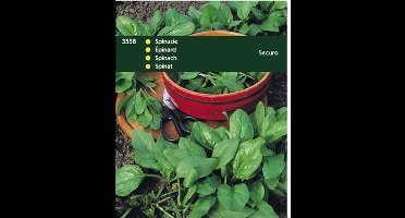Spinazie Securo 100 gram