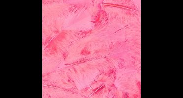 Veertjes Babyroze - 100 Stuks - 15 Cm