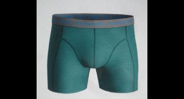 Bjorn Borg Boxershort - Kleur Groen - Maat XL