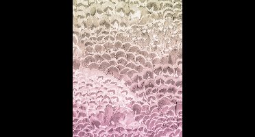 Komar Pure | pale feathers | roze veren | fotobehang op vlies 200x250cm