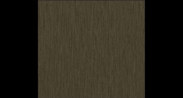 Dutch Wallcoverings Vliesbehang uni - bruin