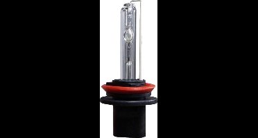 Blanco HID-Xenon lamp H11 6000K, 1 stuk