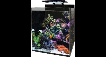 Blue Marine  REEF 60 AQUARIUM