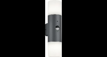 TRIO HOOSIC - Wandlamp - Antraciet - excl. 2x E27 4,9 W - Dimbaar met schakelaar - Niet extern dimmerbaar - In hoogte verstelbaar - Buitenverlichting - IP44