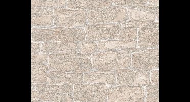 STENEN BEHANG - Beige Creme - AS Creation Adelaide