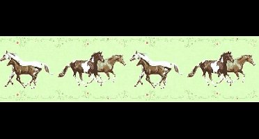 PAARDEN BEHANGRAND | Kinderkamer - meerkleurig - A.S. Création Only Borders 11
