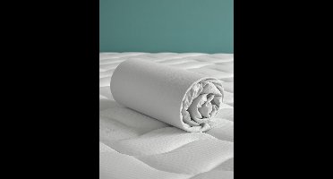 De Witte Lietaer Hoeslaken - Case Oyster - Tweepersoons - 160 x 200/220-h40 - Katoen Jersey