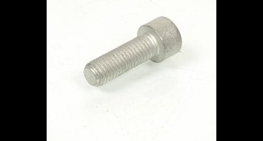 voorremklauw schroef m10x1,5 x 30mm voor motorfiets bmw 1000 rt 1978-1987 07119901049