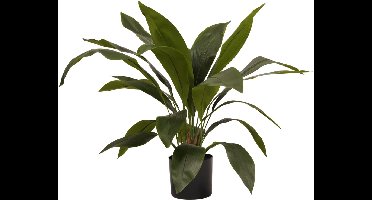 Kunstplant Aspidistra - Textiel / Metaal - Groen - 70x70x70 cm (BxHxD)