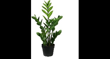 Zamioculcas 75 cm kunstplant Buitengewoon de Boet
