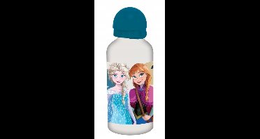 Disney Frozen Drinkfles - 500 ml - Waterfles - Sportfles - Together - Voor kinderen - Voor meisjes
