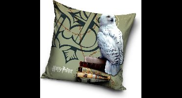 Harry Potter - Sierkussen Kussen 40 x 40 cm inclusief vulling